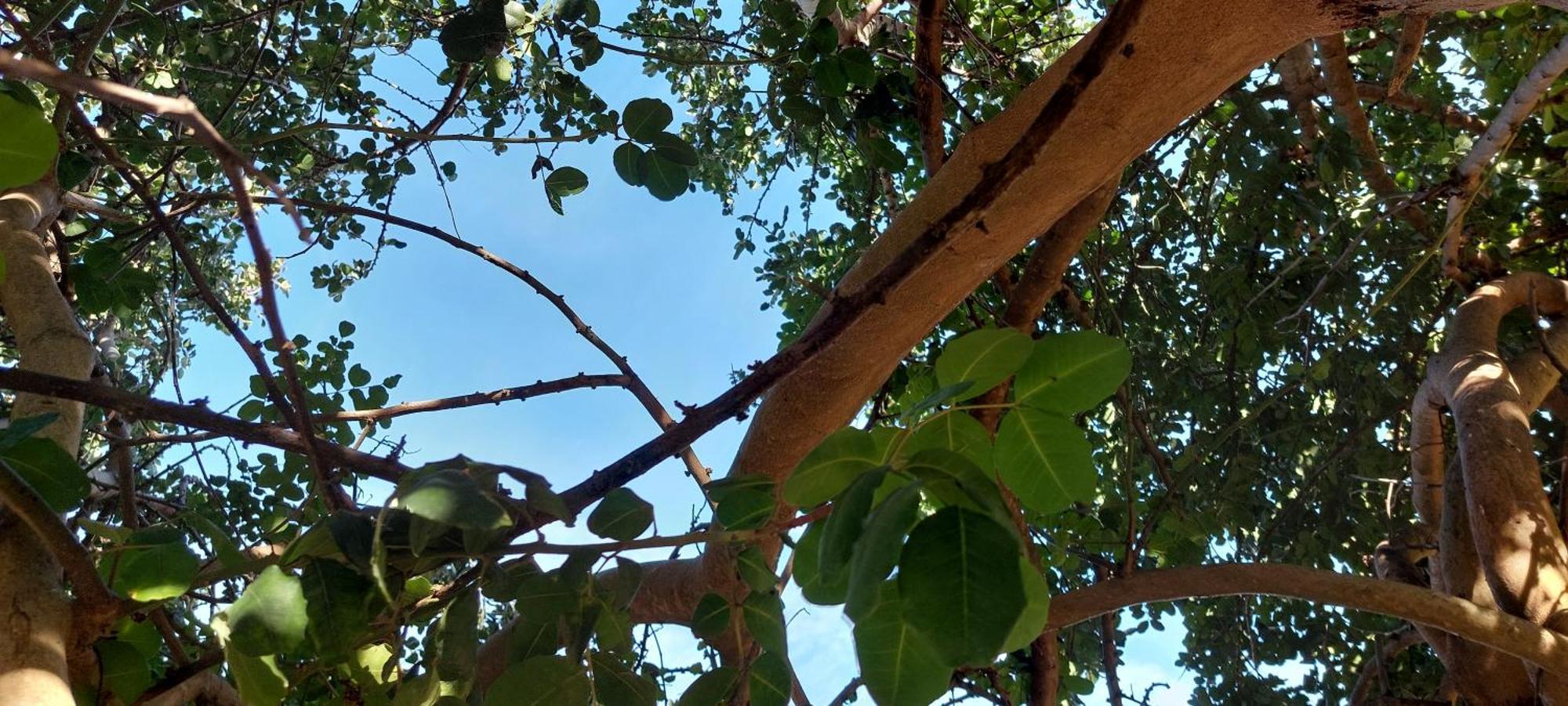 L'Aira Ecchia - Ospitalita Rurale Villa Lecce Kültér fotó