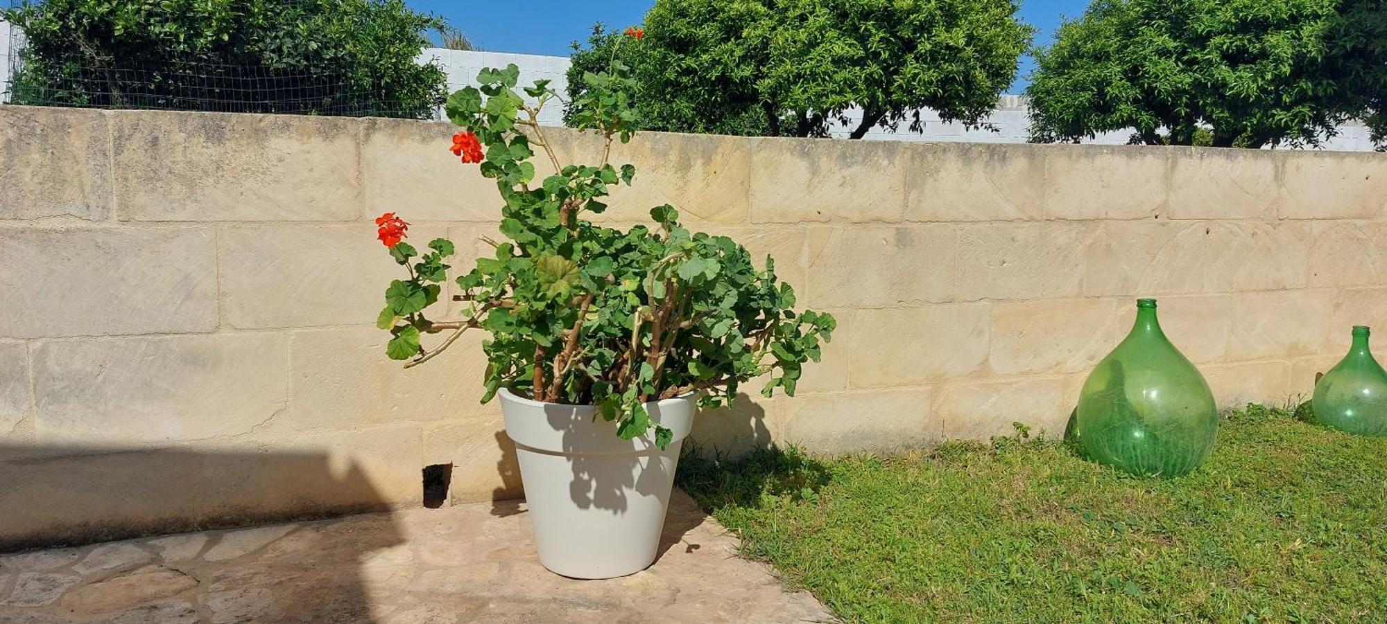 L'Aira Ecchia - Ospitalita Rurale Villa Lecce Kültér fotó